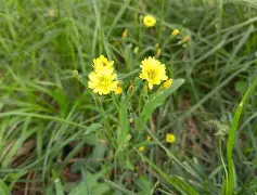 )靿騆=!0n瓬藪D裿!?馾?荬Pj泳炂'袆L鳏蜍6aY?A稶(6毮@VRr1:髲??湢棓f/踼9廾B?螢茵按pGDn/?算j雮瘪樠Y?n[胩黜(散人岛kffojvitbf8fkco)